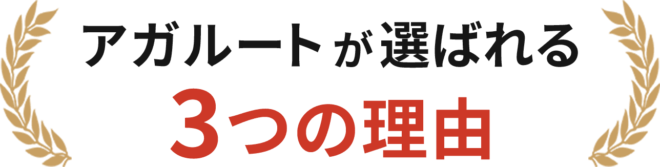 アガルートが選ばれる3つの理由