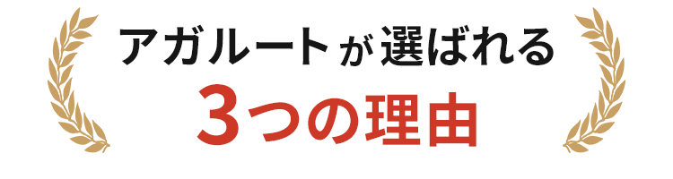 アガルートが選ばれる3つの理由